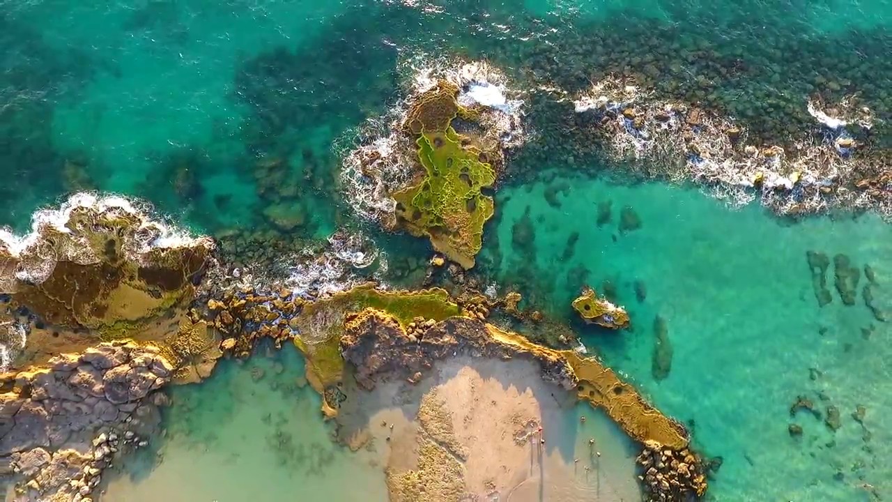 - איילת -
